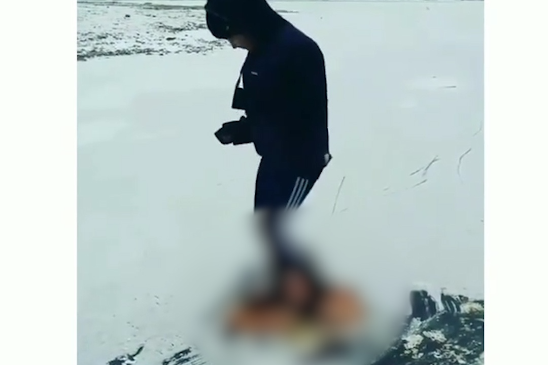 Певица из Башкирии сплясала на внутренностях убитого животного