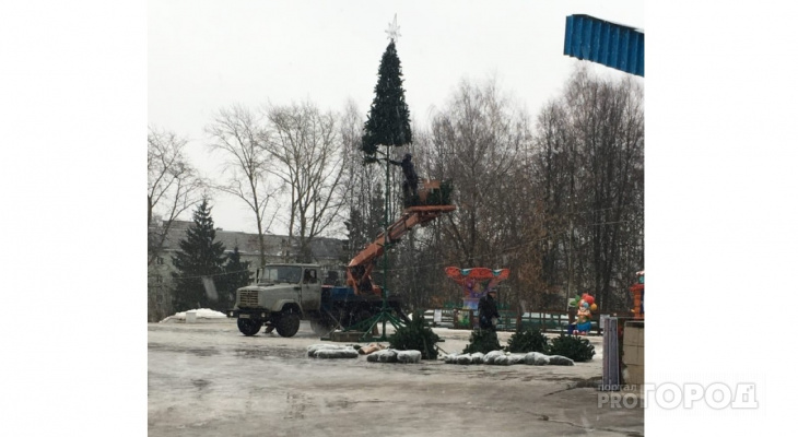 Фото дня: в Кирове впервые ставят 10-метровую елку у цирка