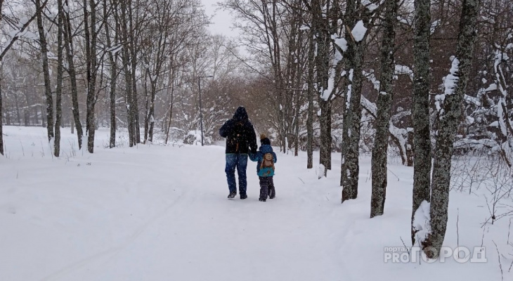 Февраль в Кирове начнется с сильного потепления: прогноз погоды