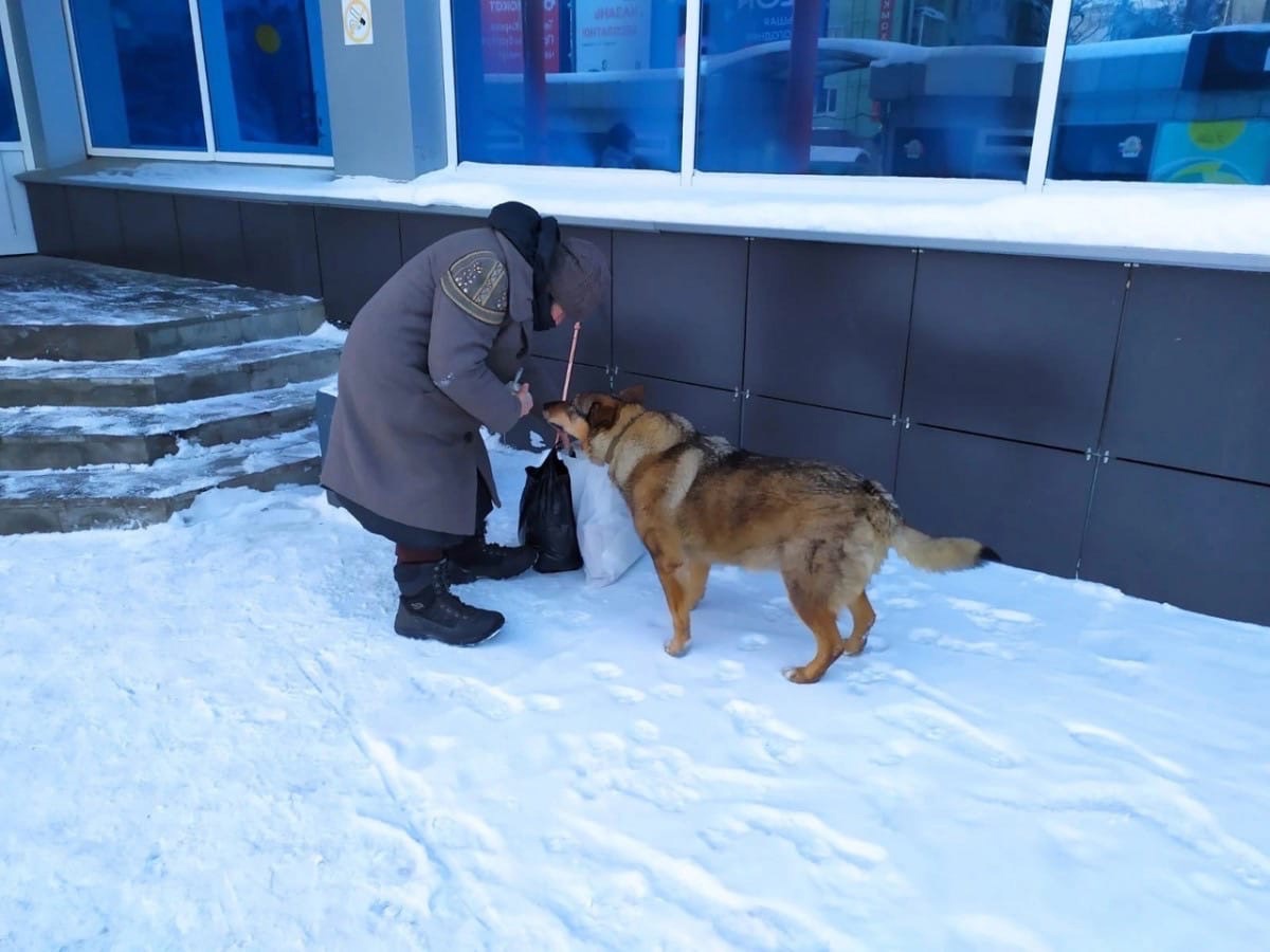 В Кирове бездомной бабушке с собакой помогают восстановить документы и пенсию