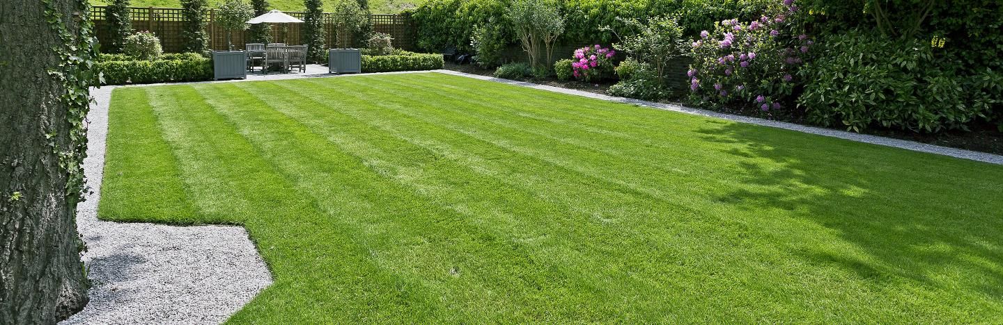 Should you put grass in your garden?